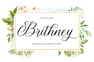 Brithney: A Handwritten Script Font for Campaign Designers