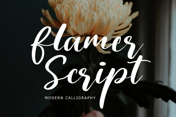 Flamer Script: A Font That Brings Modern Calligraphy to Branding