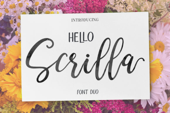 Hello Scrilla Script Font for Polished Web Design Work