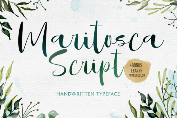 Maritosca Script: A Campaign Designer’s New Favorite Font for Clearer, Stronger Visuals