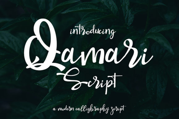 Qamari Script: The Elegant Font That Gave My Brand a New Voice