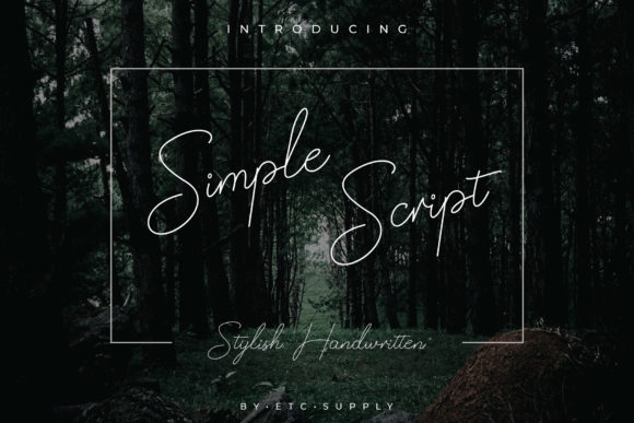 Simple Script: A Handwritten Font for Scroll-Stopping Campaigns